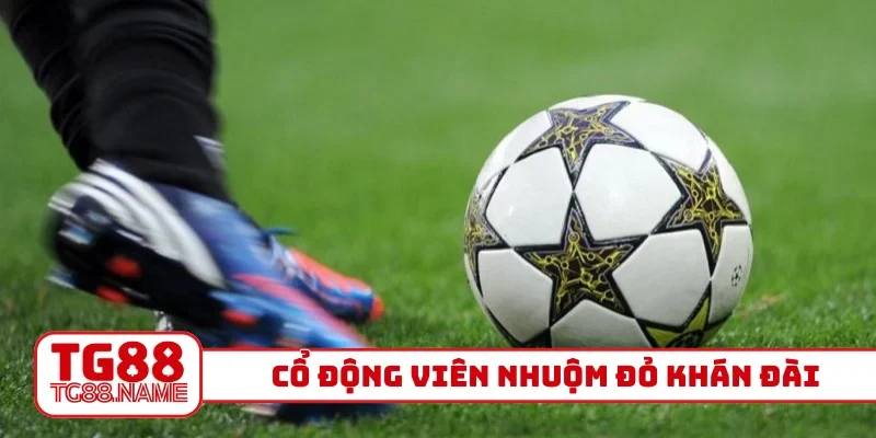 Cổ động viên nhuộm đỏ khán đài