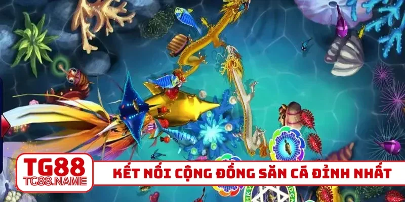 Kết nối cộng đồng săn cá đỉnh nhất