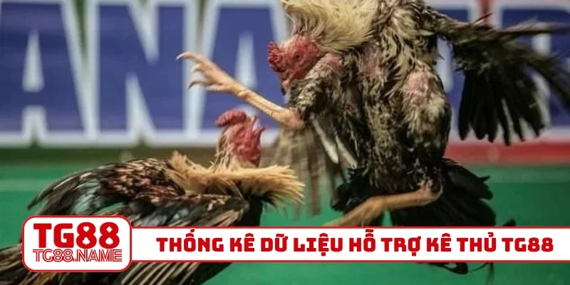 Thống kê dữ liệu hỗ trợ kê thủ TG88